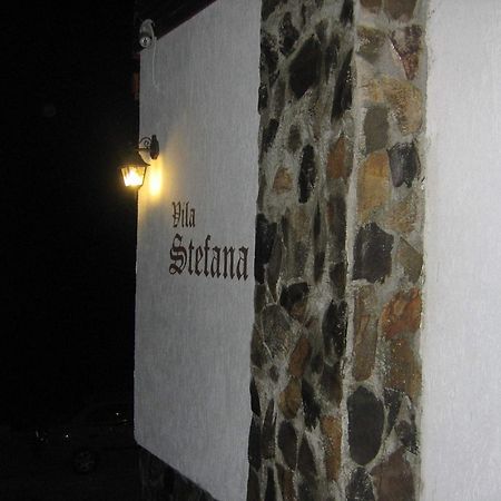 Vila Stefana Păltiniş Екстериор снимка