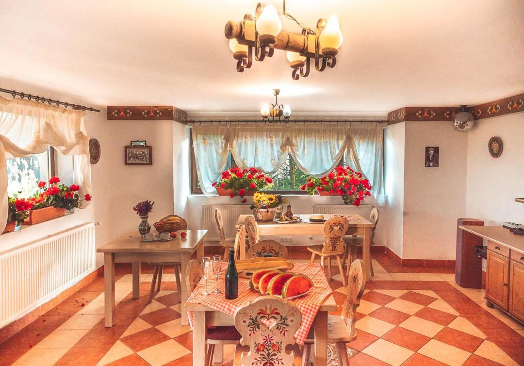 Vila Stefana Păltiniş Екстериор снимка