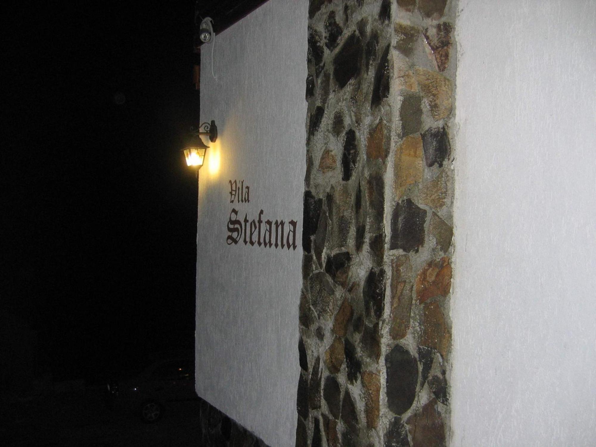 Vila Stefana Păltiniş Екстериор снимка